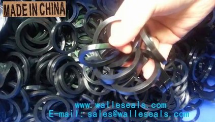 Download Video: Viton Seal Manufacturer of Viton Seal Supplier