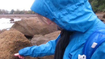 Hey Toe 02 - Pucon Playa Blanca Caillou