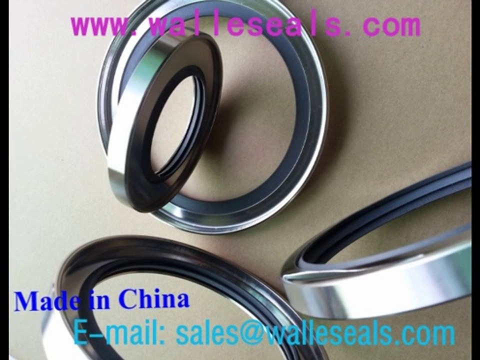 Rotary Shaft And Radial Oil Seals