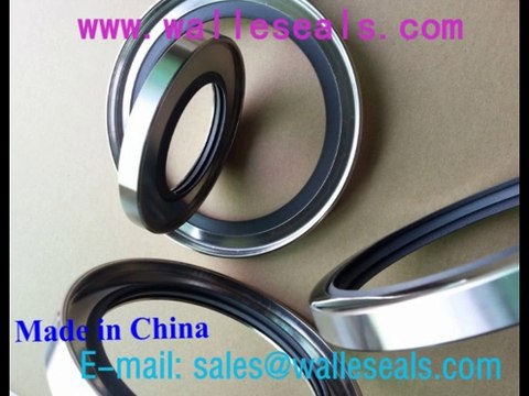 Rotary Shaft And Radial Oil Seals