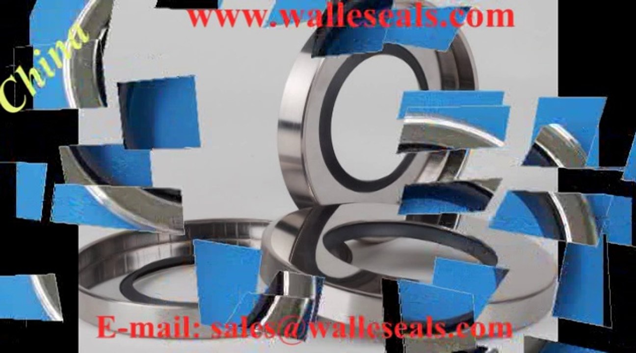 Shaft seals, Shaft seal-ring