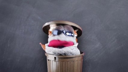 Bekenntnisse eines Mülleimers – E-Mail-Marketing