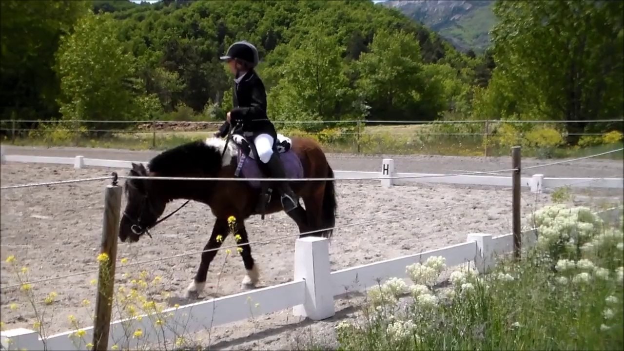 concours de dressage club 4 1 er