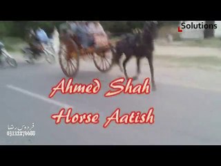 ahmed shah horse aatish jumma try 23-5-14
