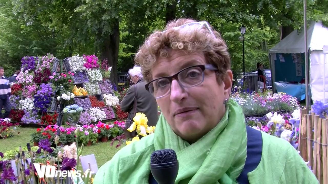 Fête des irisiades à Auvers