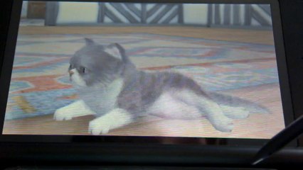 Nintendogs + cats : une bonne nouvel + un bug est égale l'Ep 4