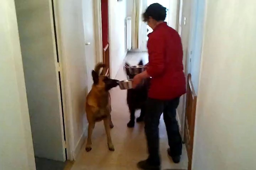 Vidéo0056