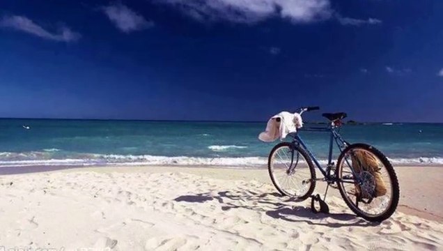 GHEORGHE ZAMFİR....THE LONELY SHEPHERD