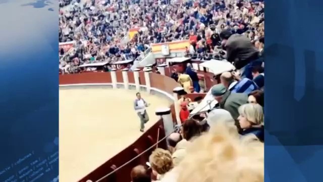 В Мадриде впервые за 35 лет отменили корриду