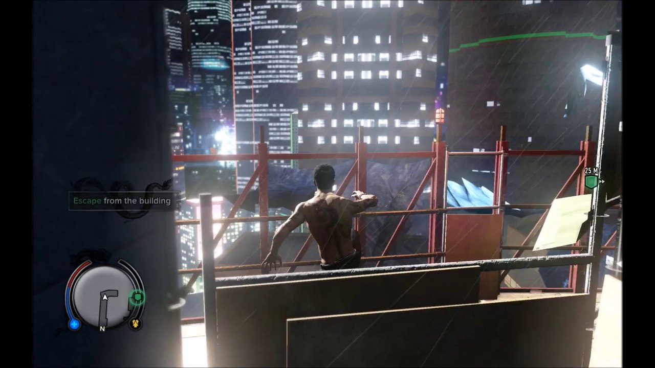 Sleeping Dogs