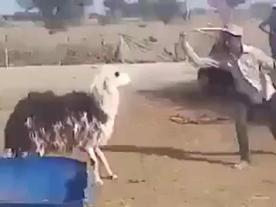 Funny