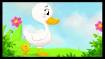 Un canard a dit à sa cane - Comptines
