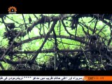 جراحت|Part 17|Irani Dramas in Urdu|SaharTV Urdu|Jarahat