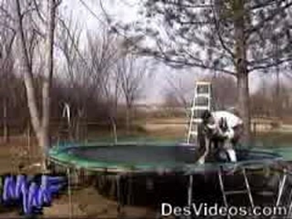 Prise de catch