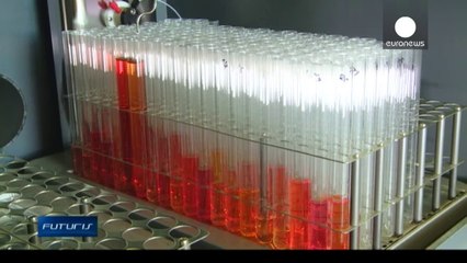 Kanserle Savaşan Deniz Mikro Organizmaları