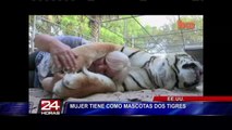 Mujer convive con dos tigres de bengala y los trata como si fueran gatitos