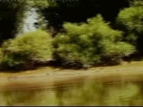 Teleports 2005 ext 5