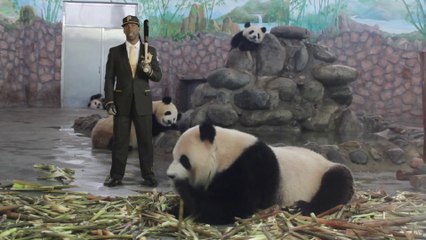 MLB 14 The Show I Andrew McCutchen Tells Pandas How It Is