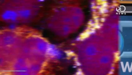 Worlds First 3 Parent Babies Coming Soon