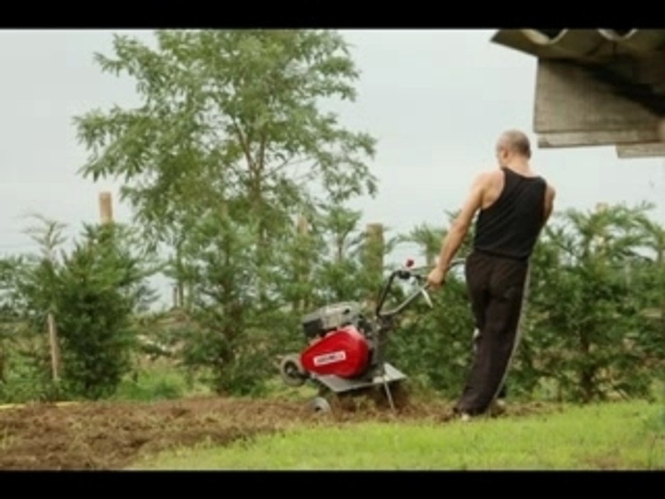 Motoculteur