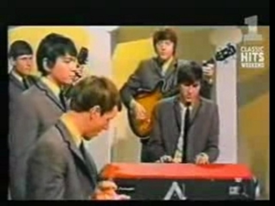 THE ANIMALS