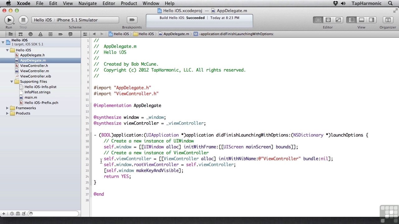 Learning iOS Programming 6