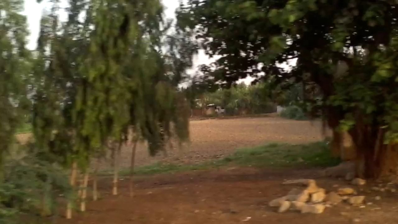 5555555555