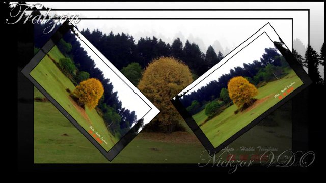 Gülay Sezer - Sen Gelmez Oldun