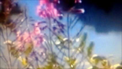 Eterno Amor (Eternal Love)