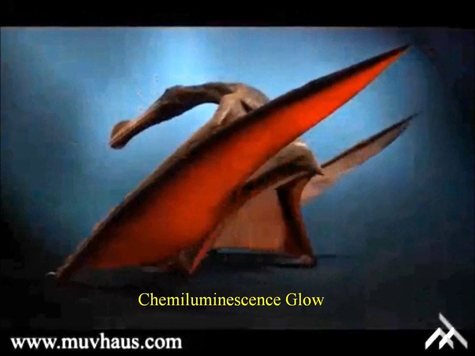 Pterosaur Threats of Texas and New Jersey Pine Barrens; the REAL Jersey Devil and Mothman