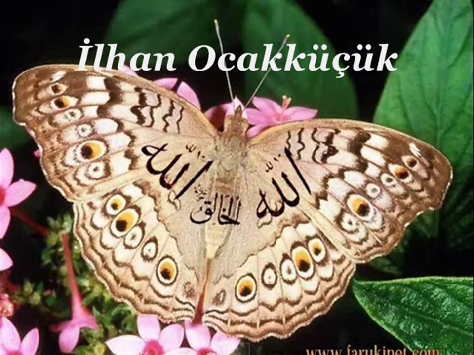 •♥••♥•SABAH DUASI•♥••♥•