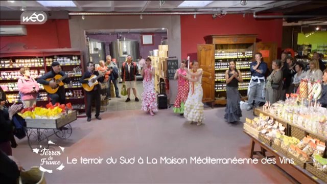 Terres de France à la féria d'Arles