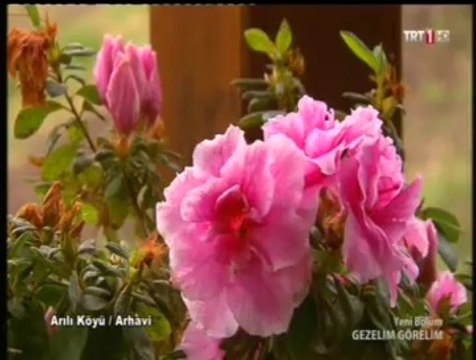 GEZELİM GÖRELİM - 12 NISAN 2014 - ARHAVİ