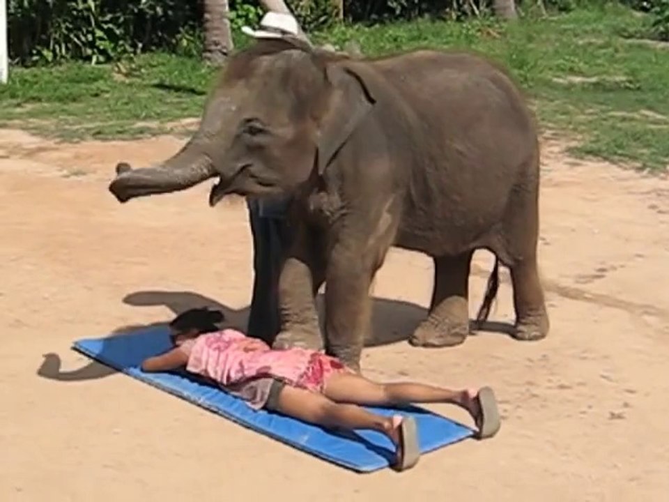 Thai Elephant Massage - by a Cute Baby Elephant in Koh Samui