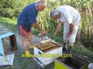 bal hasadı videosu 2012