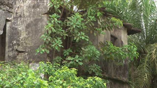 Die perfekte Welle: Surfparadies Liberia