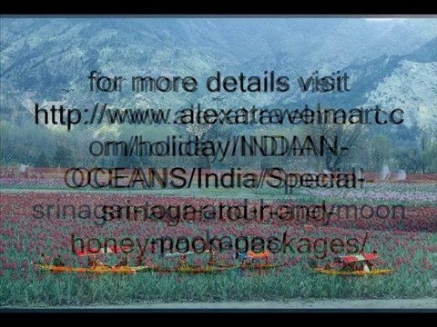 Cheap Srinagar tour packages from Delhi