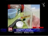China: expertos demuestran los nocivos efectos de los cigarrillos en los pulmones