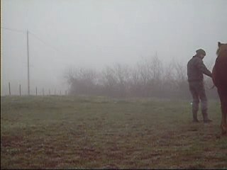 Trot Arrêt Géérie se fait la malle