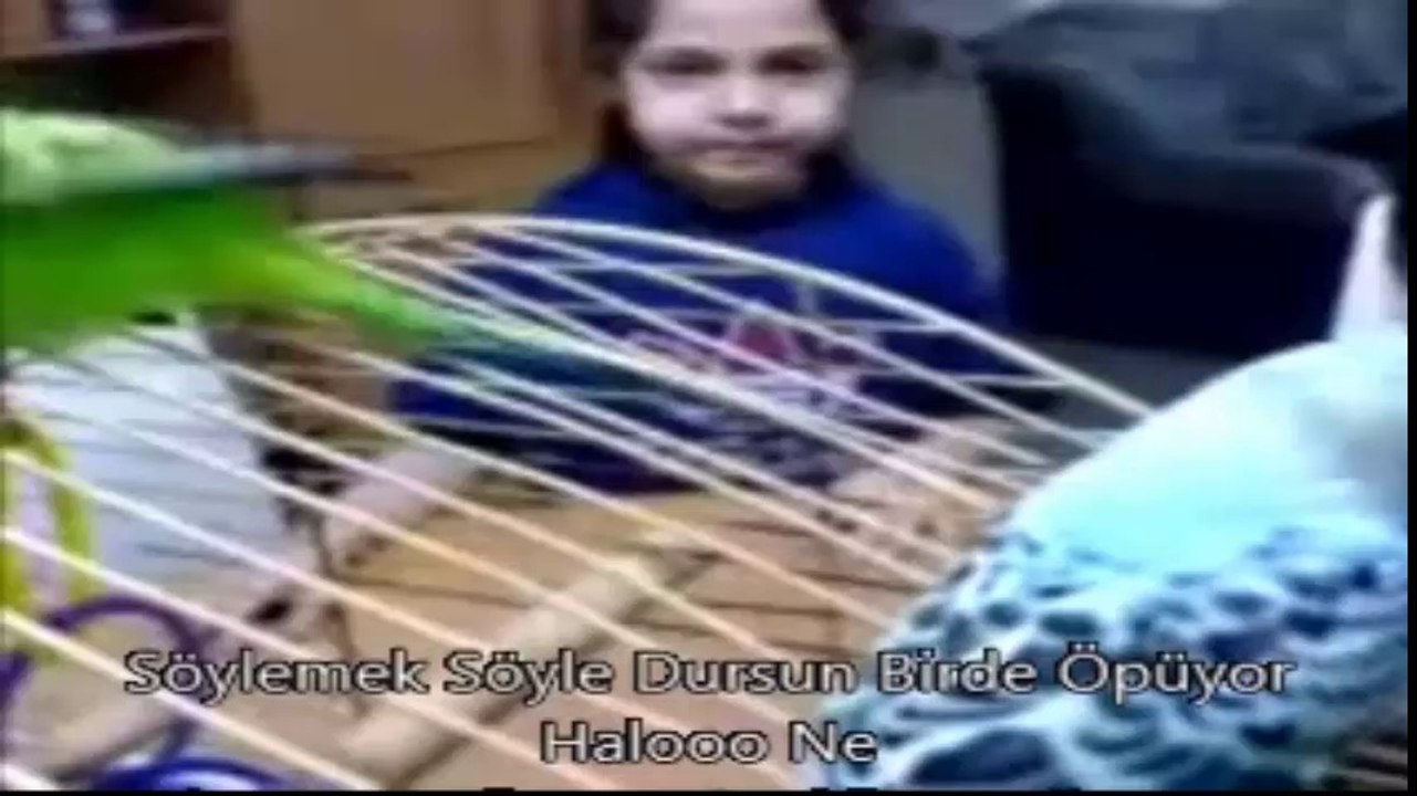 Afacan Kus askina neler söylüyooo(Nurettin Özdemir)