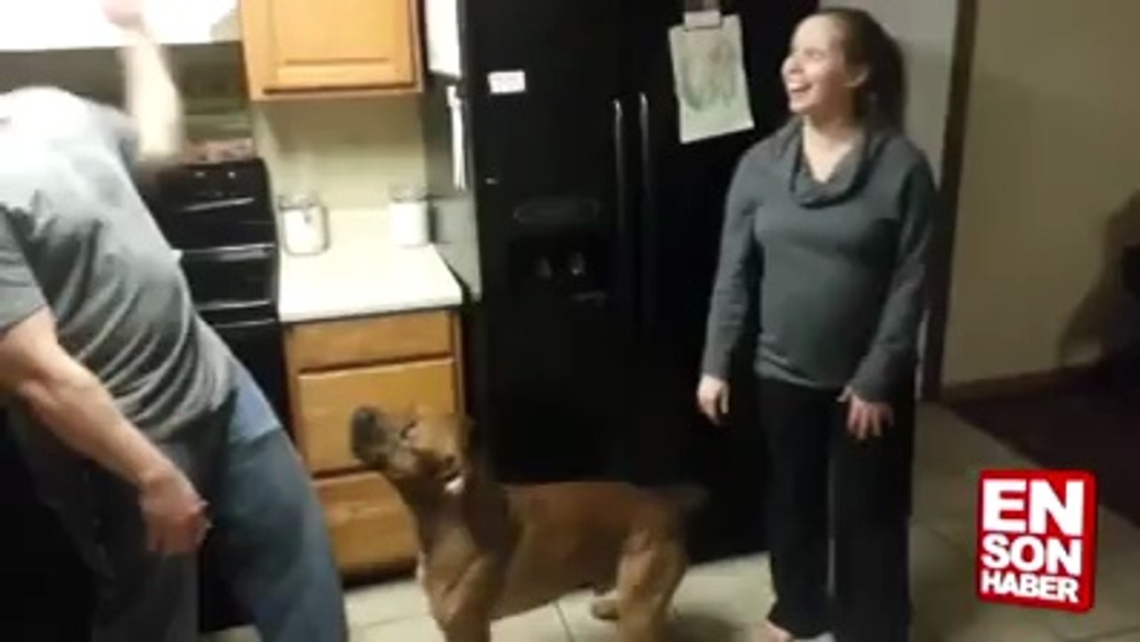 Anne karnındaki bebeği koruyan köpek sikiyorsa yaklas(Nurettin Özdemir)