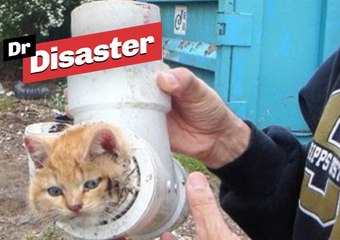 Incroyable sauvetage d'un chaton / Dr Disaster
