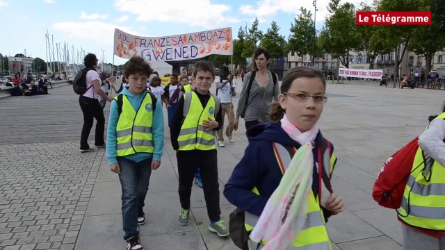 Vannes. 500 à 600 enfants participent à la Redadedig Gwened