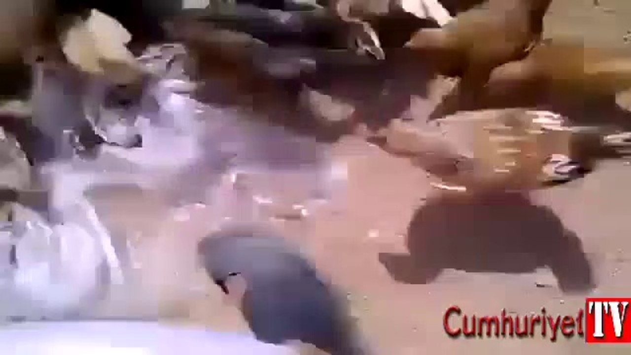 Tavuk yem derdinde çocuk can derdinde