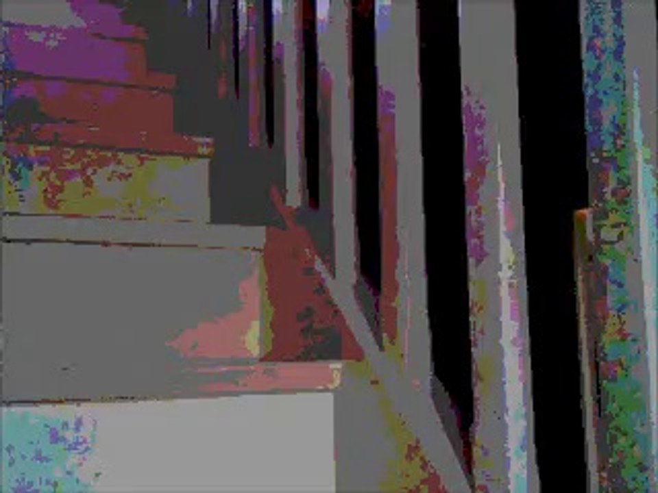 Stress préparatifs projet WIFI longue distance