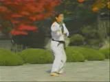 Taekwondo Poomse