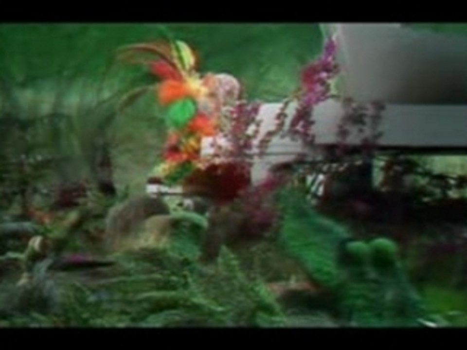 The Muppets Show & Elton John