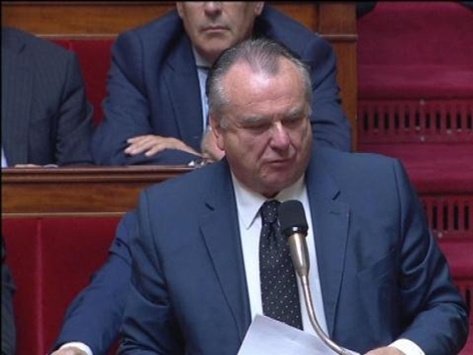 "La famille Merah part faire le djihad en Syrie grâce aux allocations familiales"  - 27/05