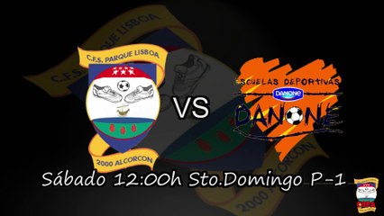 Promo Cuartos Copa 2013/14 CFS Parque de Lisboa 2000 Benjamín B VS ADDIM Danone