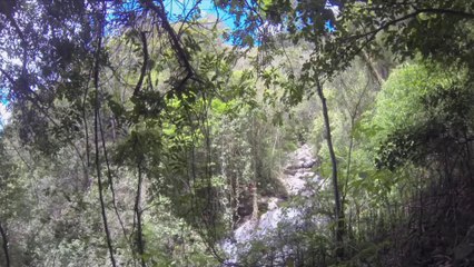 Mardi 8 avril - puerto rico - canyon emajagua